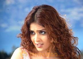 Cute genelia d souza Photo Gallery photo 490