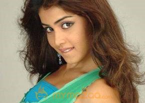 Cute genelia d souza Photo Gallery photo 256
