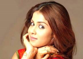 Cute genelia d souza Photo Gallery photo 504