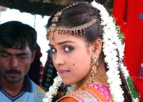 Cute genelia d souza Photo Gallery photo 325