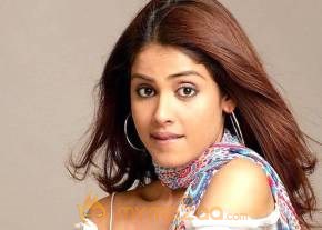 Cute genelia d souza Photo Gallery photo 494