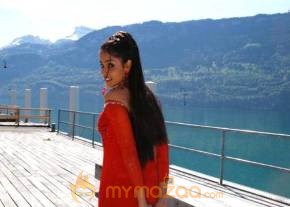 Cute genelia d souza Photo Gallery photo 497