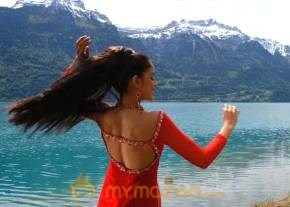 Cute genelia d souza Photo Gallery photo 189