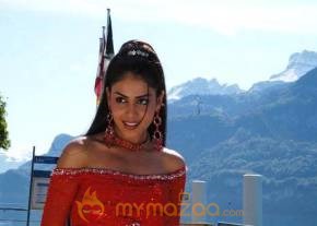 Cute genelia d souza Photo Gallery photo 28