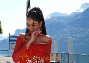 Cute genelia d souza Photo Gallery photo 385