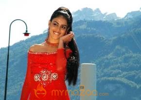Cute genelia d souza Photo Gallery photo 92