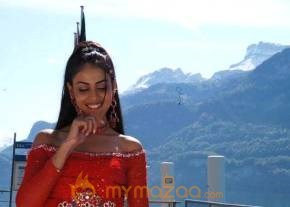 Cute genelia d souza Photo Gallery photo 264