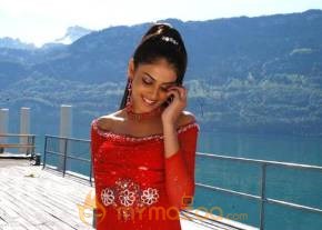 Cute genelia d souza Photo Gallery photo 186