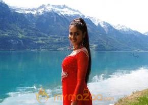 Cute genelia d souza Photo Gallery photo 359