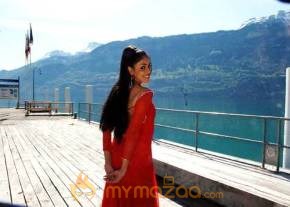Cute genelia d souza Photo Gallery photo 534