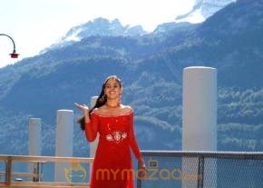 Cute genelia d souza Photo Gallery photo 276