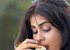 Cute genelia d souza Photo Gallery photo 191