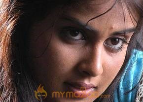 Cute genelia d souza Photo Gallery photo 63