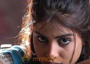 Cute genelia d souza Photo Gallery photo 436