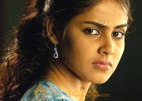 Cute genelia d souza Photo Gallery photo 262