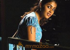 Cute genelia d souza Photo Gallery photo 106