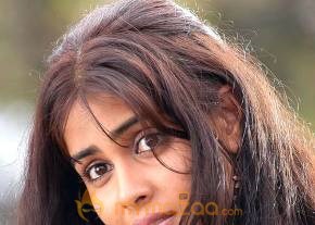 Cute genelia d souza Photo Gallery photo 95
