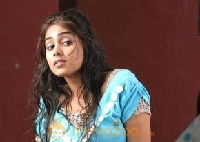 Cute genelia d souza Photo Gallery photo 408
