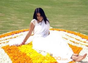 Cute genelia d souza Photo Gallery photo 134