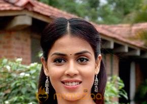 Cute genelia d souza Photo Gallery photo 196