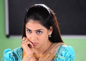 Cute genelia d souza Photo Gallery photo 222
