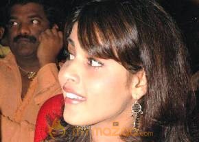 Cute genelia d souza Photo Gallery photo 228