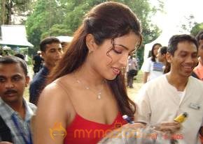 Priyanka Chopra Hottest Photo Gallery photo 43