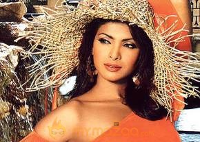 Priyanka Chopra Hottest Photo Gallery photo 10
