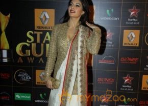 9th Renault Star Guild Awards Photos photo 6