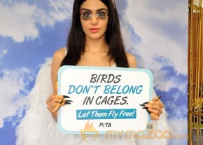 Adah Sharma Says Birds Don't Belong In Cages Event  photo 21