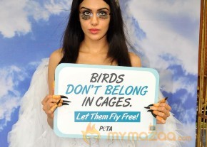Adah Sharma Says Birds Don't Belong In Cages Event  photo 29