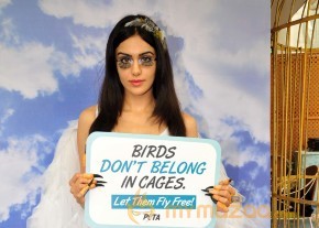 Adah Sharma Says Birds Don't Belong In Cages Event  photo 3