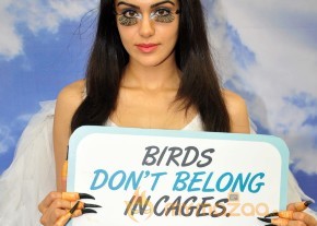 Adah Sharma Says Birds Don't Belong In Cages Event  photo 12