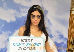 Adah Sharma Says Birds Don't Belong In Cages Event  photo 13