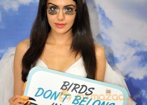 Adah Sharma Says Birds Don't Belong In Cages Event  photo 26