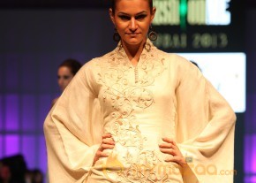 Anjana Sukhani Ramp Walk at Fashion Me 2013 Finale  photo 31