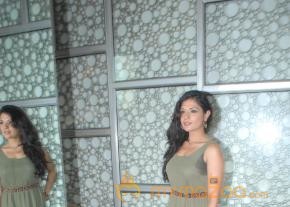 Anurag Kashyap Short Film With Tumbhi Press Conference   photo 35