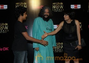 Bolly Celebs At BIG Life OK Awards 2014 photo 39
