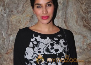 Bolly Celebs At Bobby Jasoos Screening photo 17
