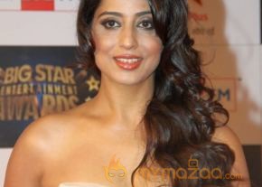 Bolly Celebs at BSE AWARDS 2013 Photos photo 9
