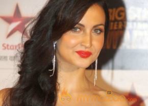 Bolly Celebs at BSE AWARDS 2013 Photos photo 41