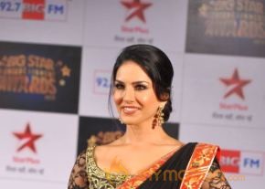 Bolly Celebs at BSE AWARDS 2013 Photos photo 36