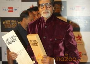 Bolly Celebs at BSE AWARDS 2013 Photos photo 26
