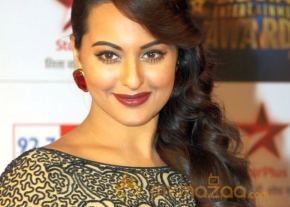 Bolly Celebs at BSE AWARDS 2013 Photos photo 35
