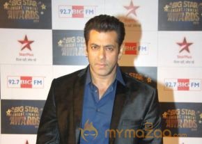 Bolly Celebs at BSE AWARDS 2013 Photos photo 10