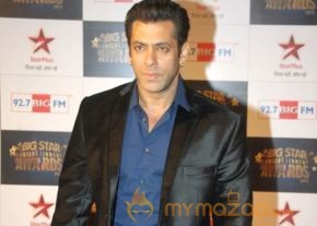 Bolly Celebs at BSE AWARDS 2013 Photos photo 44