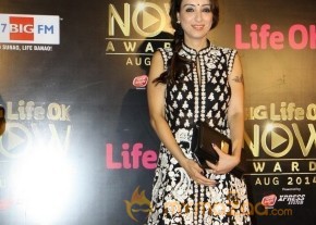 Bolly Celebs at the Life OK Now Awards 2014 photo 44