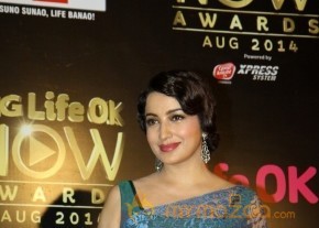 Bolly Celebs at the Life OK Now Awards 2014 photo 8