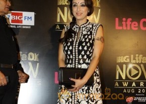Bolly Celebs at the Life OK Now Awards 2014 photo 59