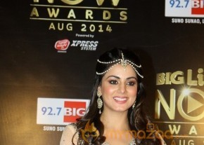 Bolly Celebs at the Life OK Now Awards 2014 photo 46